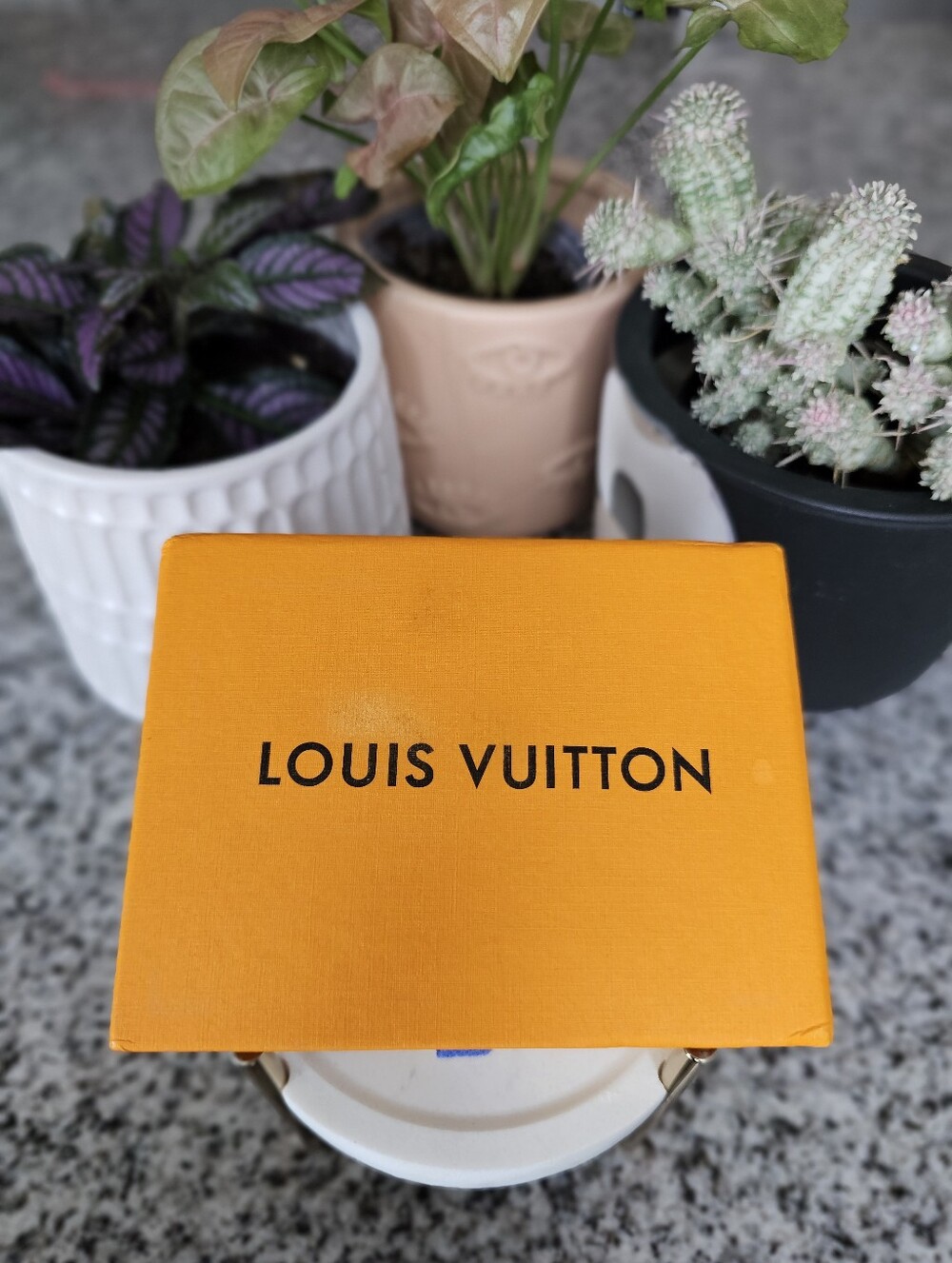 Louis Vuitton Box + Dust Bag